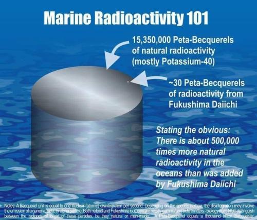 Marine Radioactivity