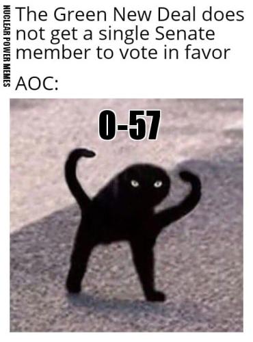 NPM AOC Vote