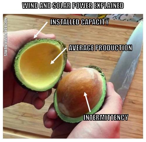 NPM Avacado