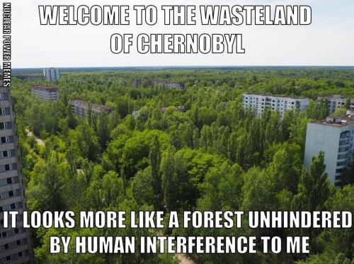 NPM Chernobyl Forest