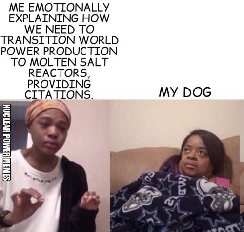 NPM Explaining to Dog