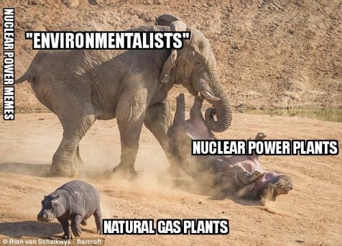 NPM Ignoring Gas