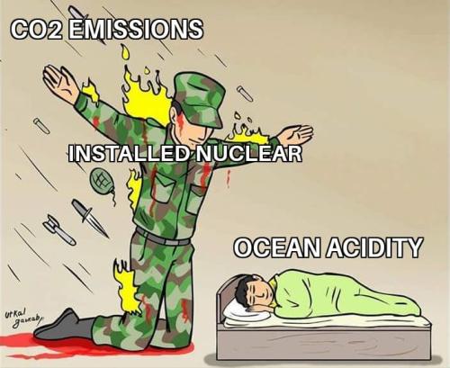 NPM Ocean Acidity