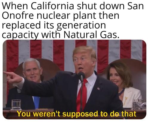 NPM San Onofre Trump