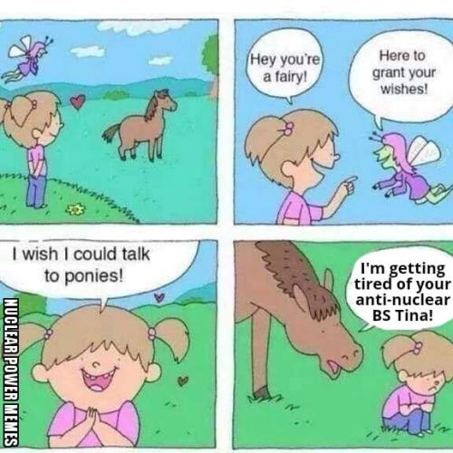 NPM Talking Pony