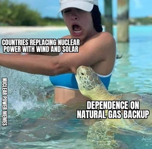 wind-and-solar-are-dependent-meme